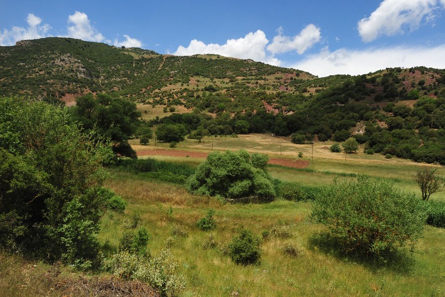 2014.06.18 Zahnradbahn in Griechenland Diakopto–Kalavryta (88)